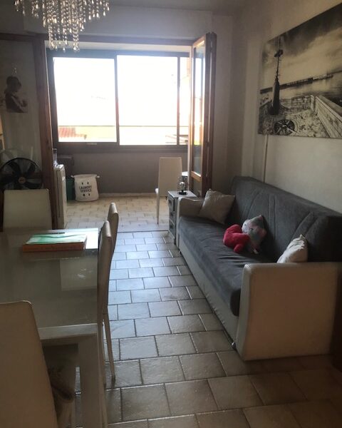 VIAREGGIO TERMINETTO